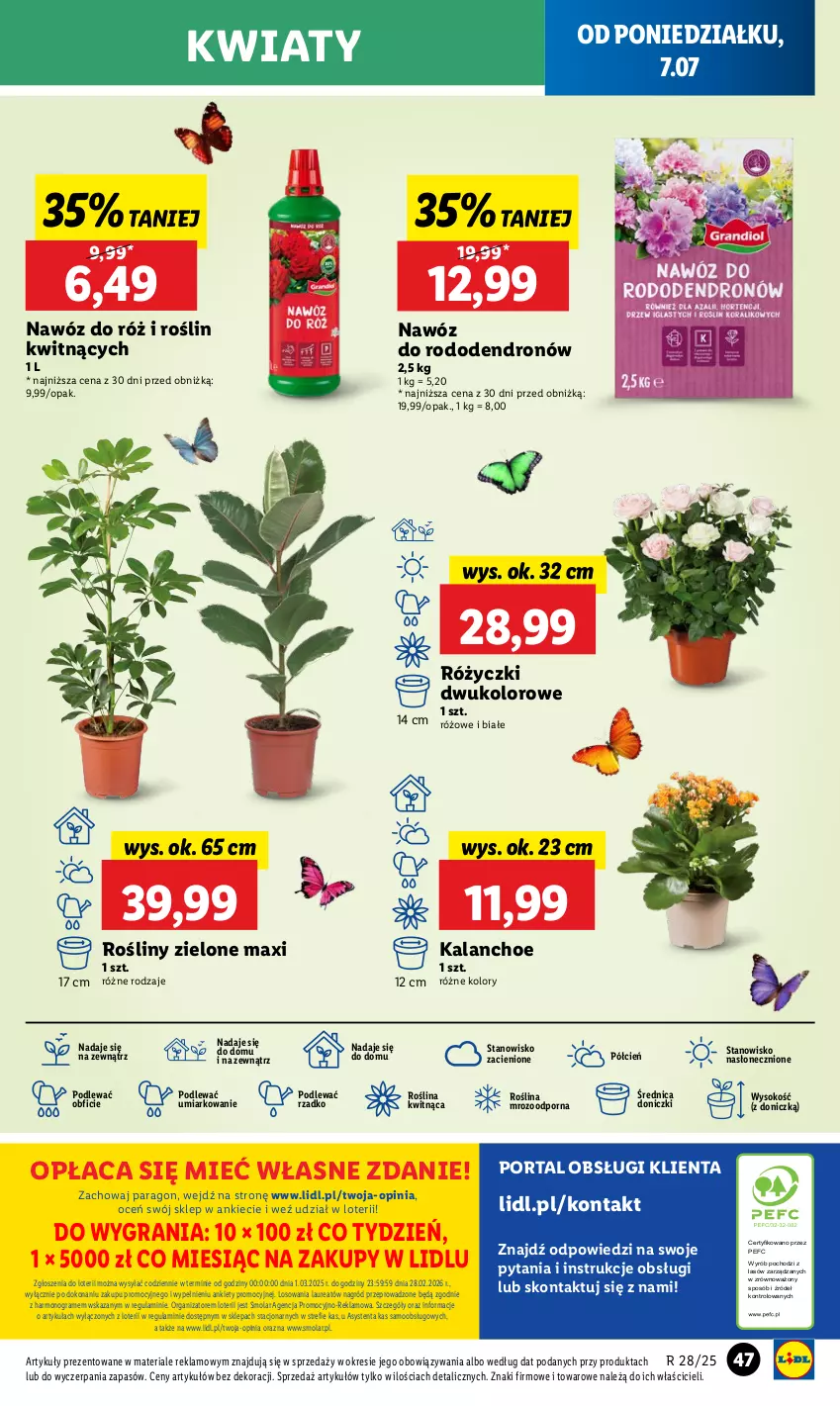 Gazetka promocyjna Lidl - GAZETKA - ważna 07.07 do 09.07.2025 - strona 55 - produkty: Cień, Dron, Gra, Kalanchoe, Laur, Mola, Nawóz, O nas, Por, Portal, Sok