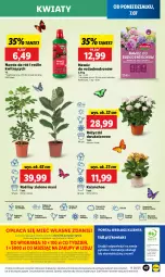 Gazetka promocyjna Lidl - GAZETKA - Gazetka - ważna od 09.07 do 09.07.2025 - strona 55 - produkty: Sok, Por, Gra, Cień, O nas, Portal, Kalanchoe, Dron, Laur, Mola, Nawóz