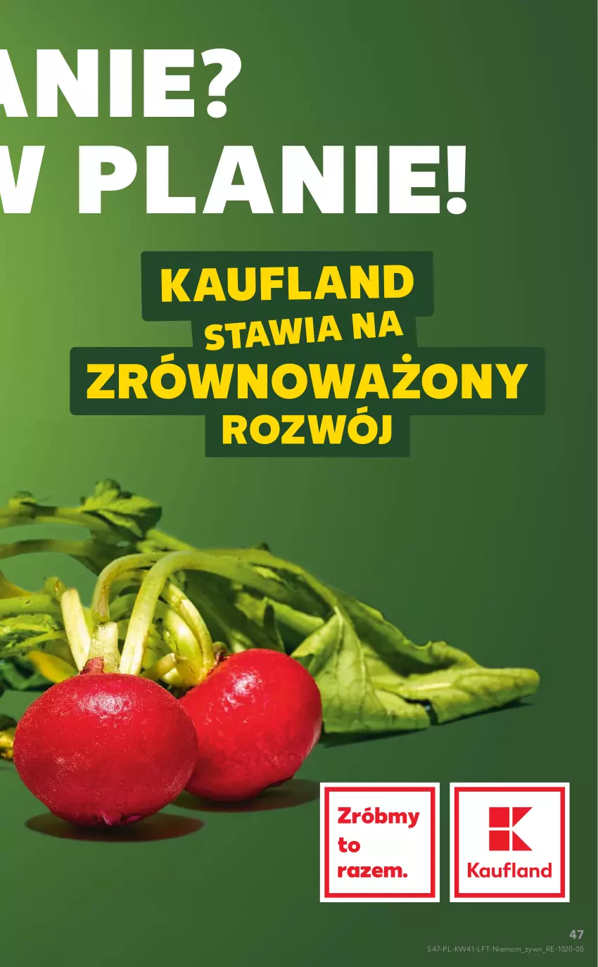 Gazetka promocyjna Kaufland - OFERTA TYGODNIA - ważna 13.10 do 19.10.2022 - strona 47