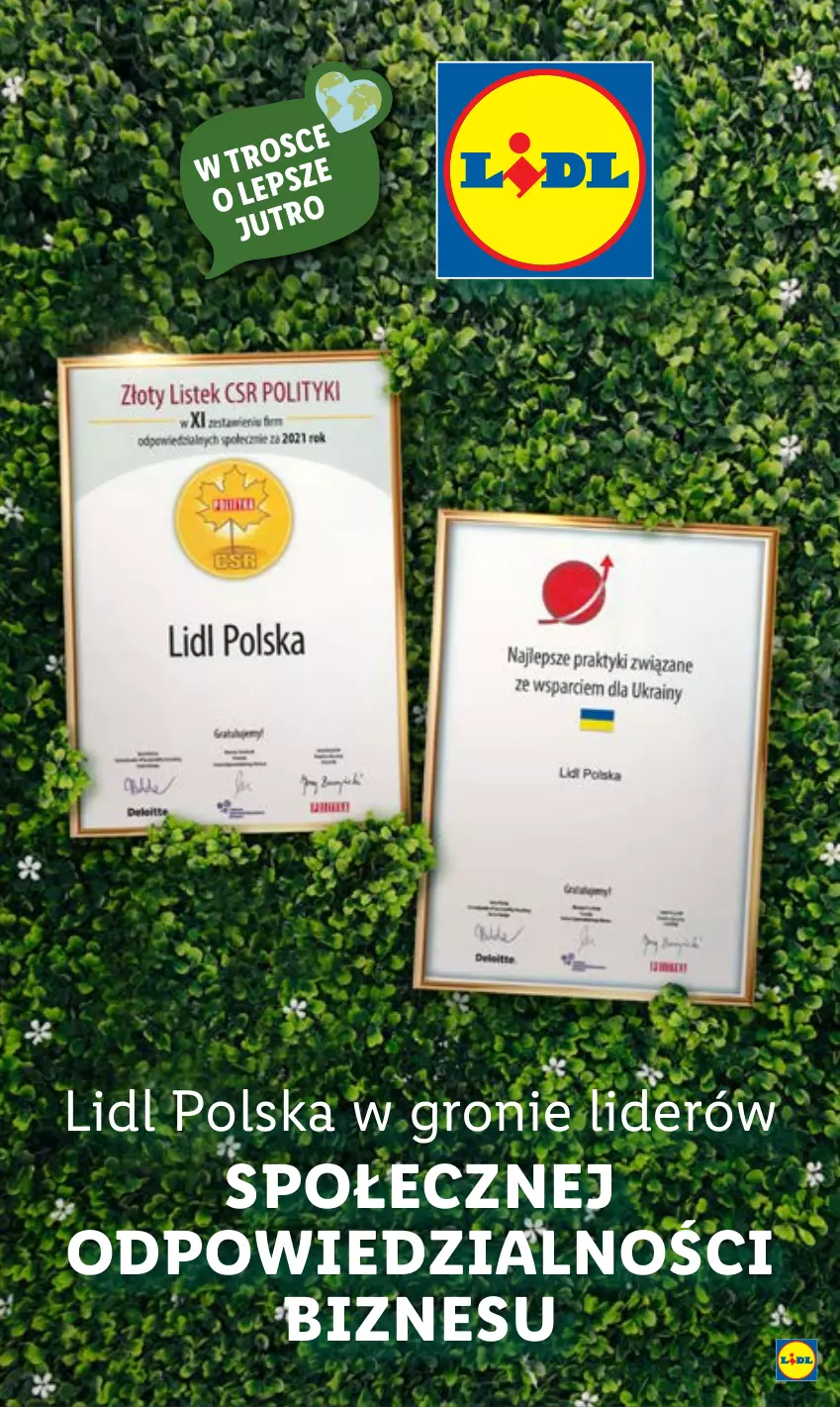 Gazetka promocyjna Lidl - GAZETKA - ważna 01.08 do 06.08.2022 - strona 60