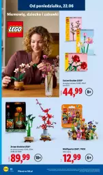 Gazetka promocyjna Lidl - Katalog ważny od 22.06 - Gazetka - ważna od 27.06 do 27.06.2026 - strona 26 - produkty: LEGO