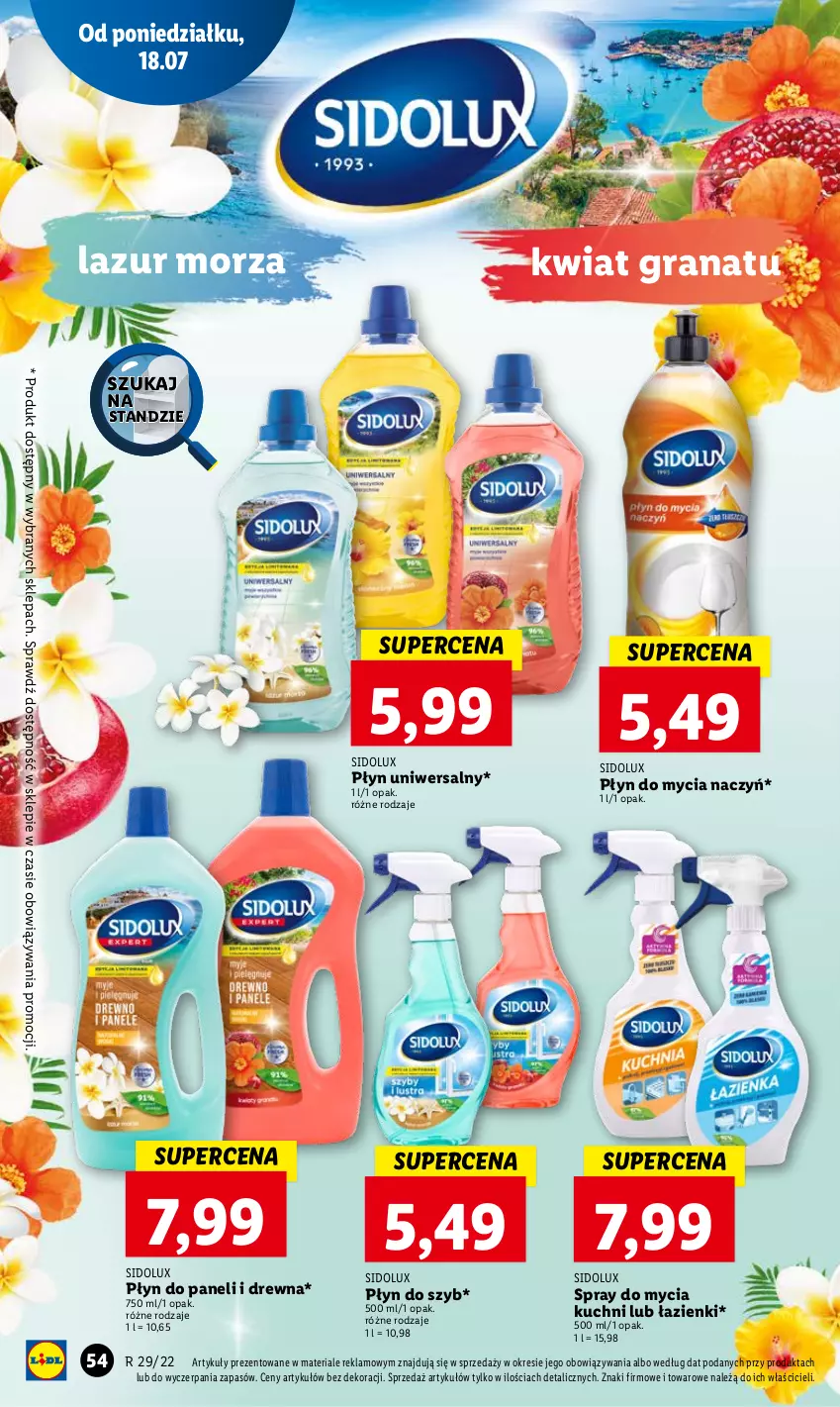 Gazetka promocyjna Lidl - GAZETKA - ważna 18.07 do 20.07.2022 - strona 54 - produkty: Do mycia naczyń, Gra, Granat, Lazur, Płyn do mycia, Płyn do mycia naczyń, Płyn do szyb, Sidolux