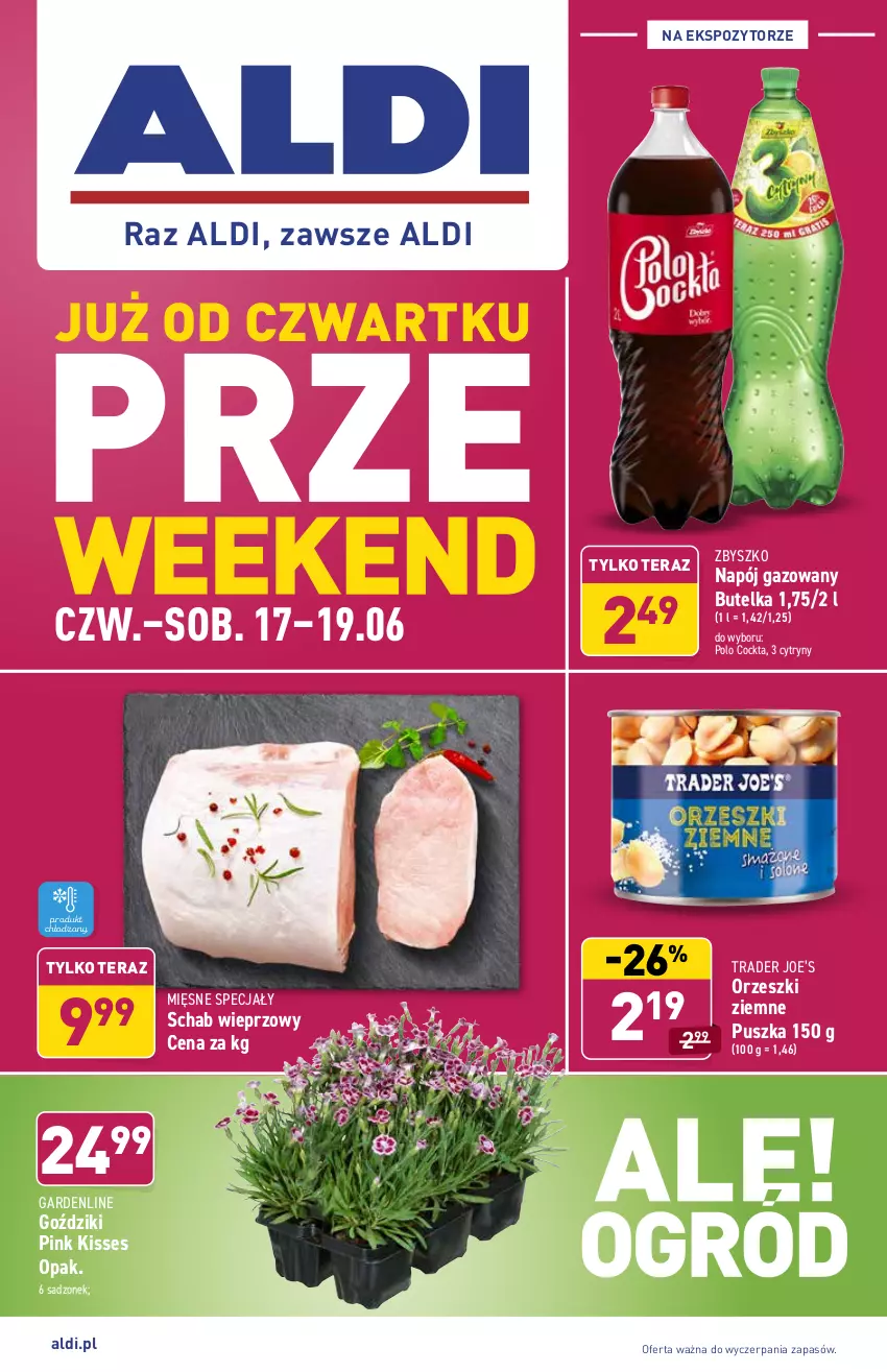 Gazetka promocyjna Aldi - Od Czwartku - ważna 17.06 do 19.06.2021 - strona 1 - produkty: Cytryny, Mięsne specjały, Napój, Napój gazowany, Orzeszki, Orzeszki ziemne, Schab wieprzowy, Tera