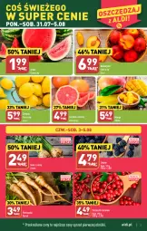 Gazetka promocyjna Aldi - Pełna oferta - Gazetka - ważna od 05.08 do 05.08.2023 - strona 3 - produkty: Por, Pietruszka, Cytryny, Jeżyny, Porzeczki czerwone, Arbuz, Mango, Nektar, Grejpfrut