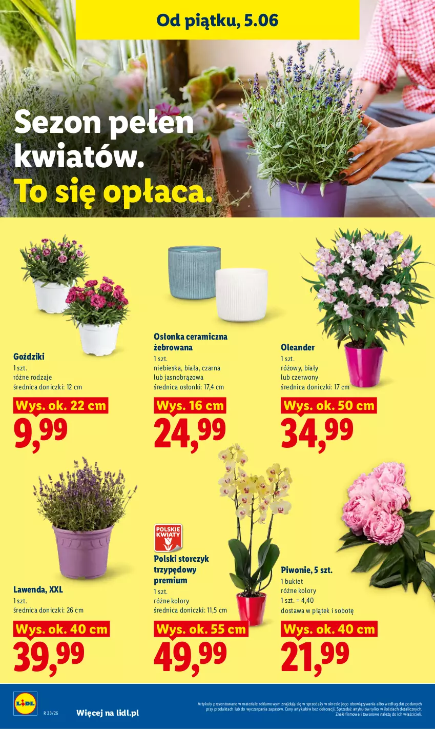 Gazetka promocyjna Lidl - Gazetka ważna od 5.06 do 6.06 - ważna 05.06 do 06.06.2026 - strona 88 - produkty: Bukiet, Osłonka, Piwo, Storczyk