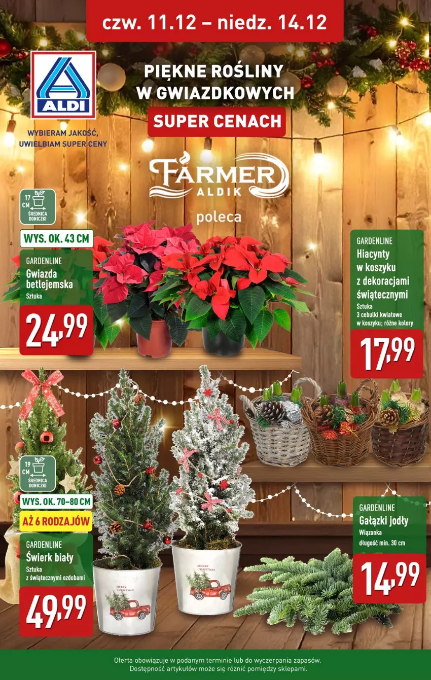 Gazetka promocyjna Aldi - Pełna oferta - ważna 08.12 do 14.12.2025 - strona 38
