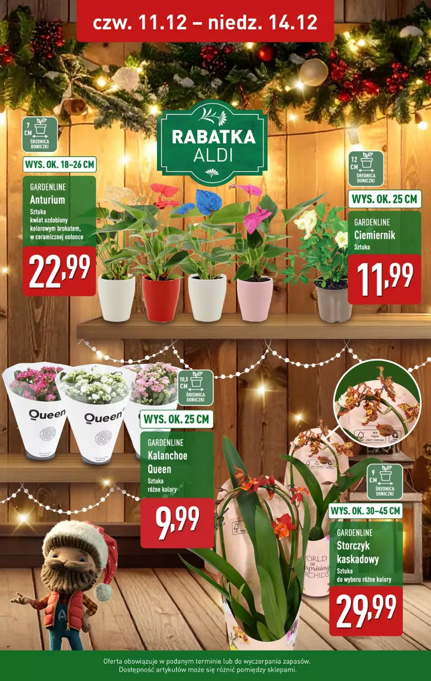 Gazetka promocyjna Aldi - Pełna oferta - ważna 08.12 do 14.12.2025 - strona 39