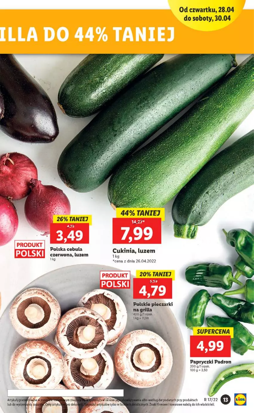 Gazetka promocyjna Lidl - GAZETKA - ważna 28.04 do 30.04.2022 - strona 13 - produkty: Cebula, Dron, Grill, Piec