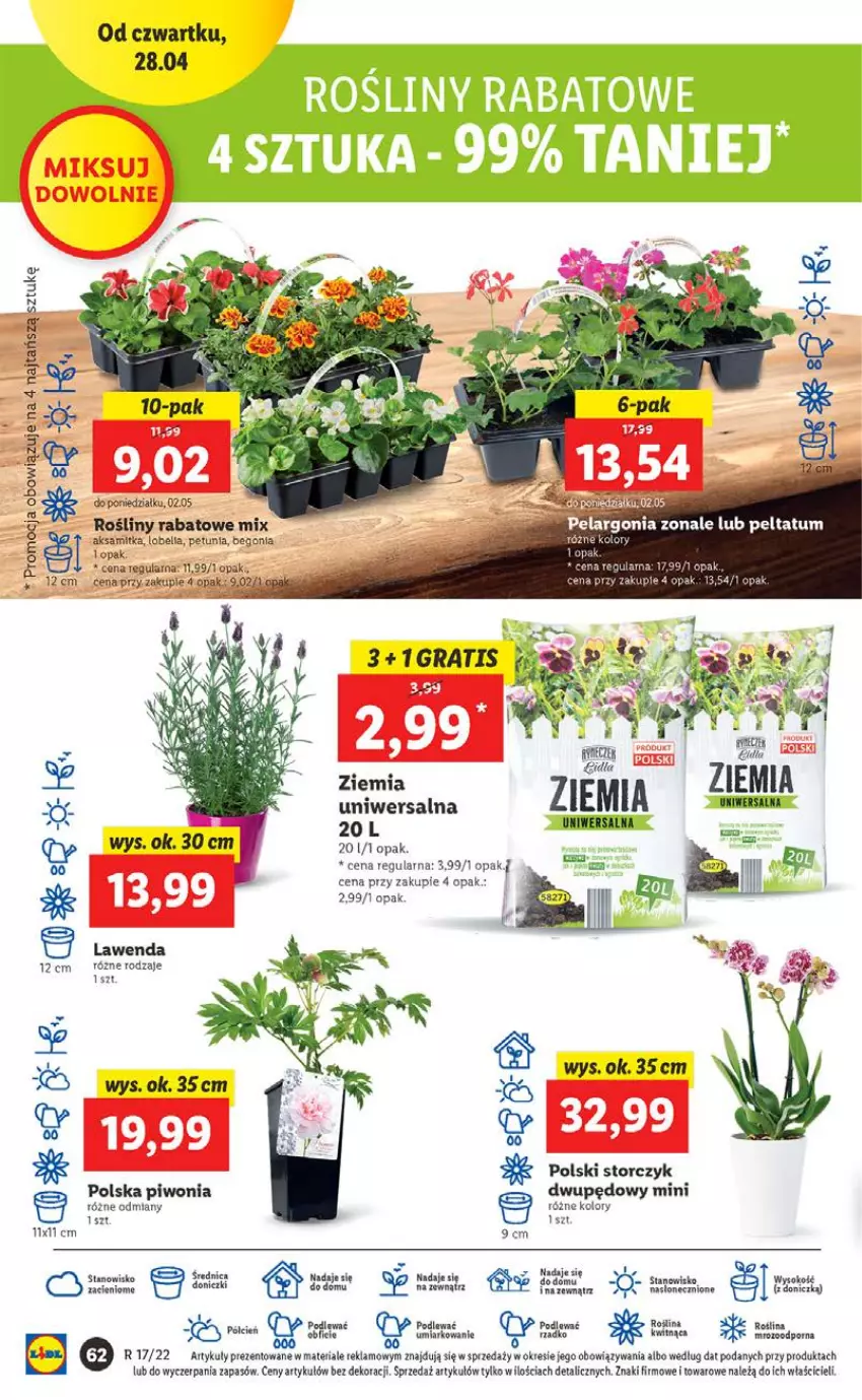 Gazetka promocyjna Lidl - GAZETKA - ważna 28.04 do 30.04.2022 - strona 62 - produkty: Aksam, Bell, Bella, Cień, Piwo, Sok, Storczyk