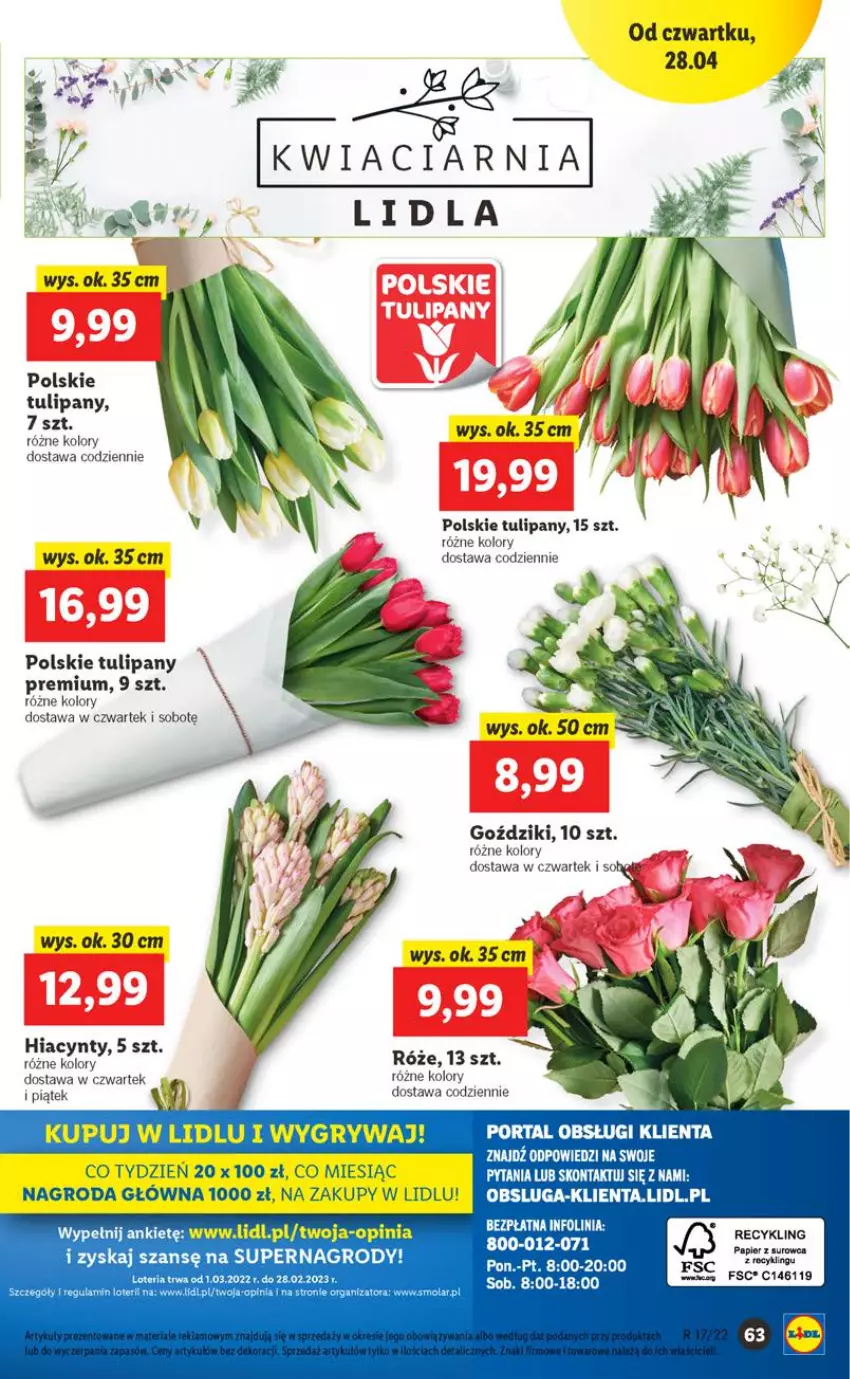 Gazetka promocyjna Lidl - GAZETKA - ważna 28.04 do 30.04.2022 - strona 63 - produkty: Gry, Hiacynt, Tulipan