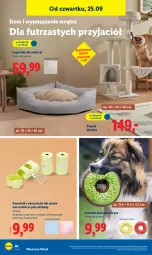 Gazetka promocyjna Lidl - GAZETKA - Gazetka - ważna od 27.09 do 27.09.2025 - strona 46 - produkty: Zabawka, LEGO, Drapak, Dozownik, Legowisko