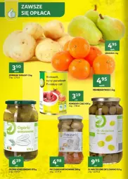 Gazetka promocyjna Auchan - Gazetka - ważna od 23.12 do 23.12.2023 - strona 10 - produkty: Piec, Oliwki zielone, Ser, Oliwki, Ogórki konserwowe