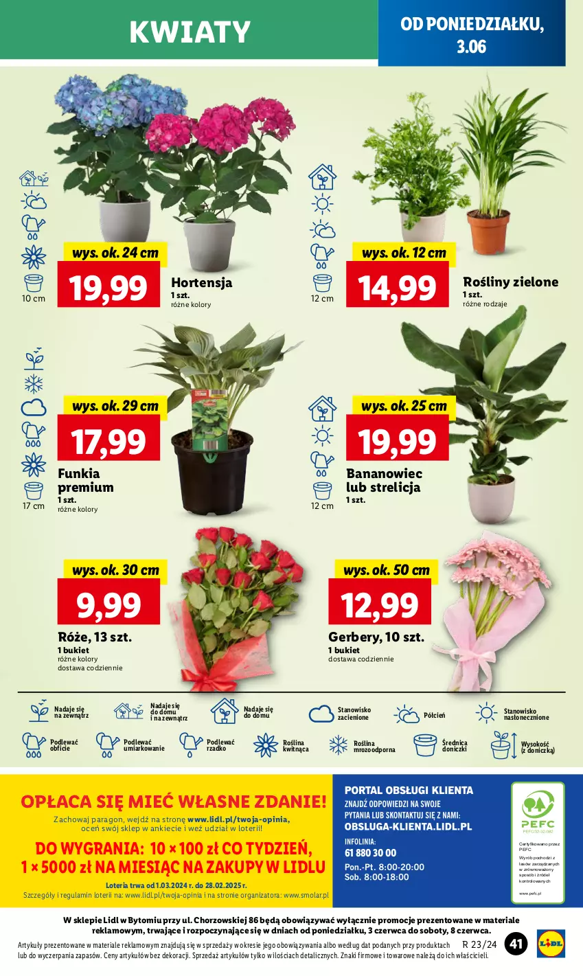 Gazetka promocyjna Lidl - GAZETKA - ważna 03.06 do 05.07.2024 - strona 45 - produkty: Bukiet, Cień, Gerber, Gra, Mola, O nas, Por, Sok