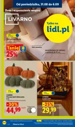 Gazetka promocyjna Lidl - Gazetka ważna od 31.08. do 05.09. - Gazetka - ważna od 05.09 do 05.09.2026 - strona 28 - produkty: Sok, Gra, Ivar, Materac, Tera, Lampion, Grafika