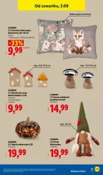 Gazetka promocyjna Lidl - Gazetka ważna od 31.08. do 05.09. - Gazetka - ważna od 05.09 do 05.09.2026 - strona 39 - produkty: Ivar, Poszewka, Skrzat