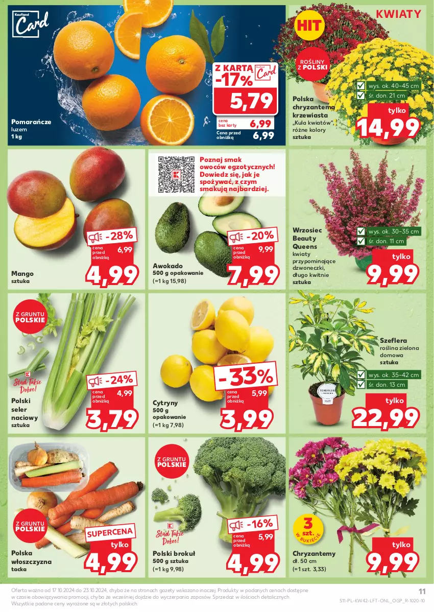 Gazetka promocyjna Kaufland - Gazetka tygodnia - ważna 17.10 do 23.10.2024 - strona 11 - produkty: Chryzantema, Cytryny, Grunt, Mango, Pomarańcze, Seler naciowy