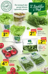 Gazetka promocyjna Intermarche - Gazetka Intermarche - Gazetka - ważna od 21.09 do 21.09.2022 - strona 13 - produkty: Por, Roszponka, Rukola, Sałat, Natka pietruszki, Masło, Pomidor malinowy, Jarmuż, Szpinak