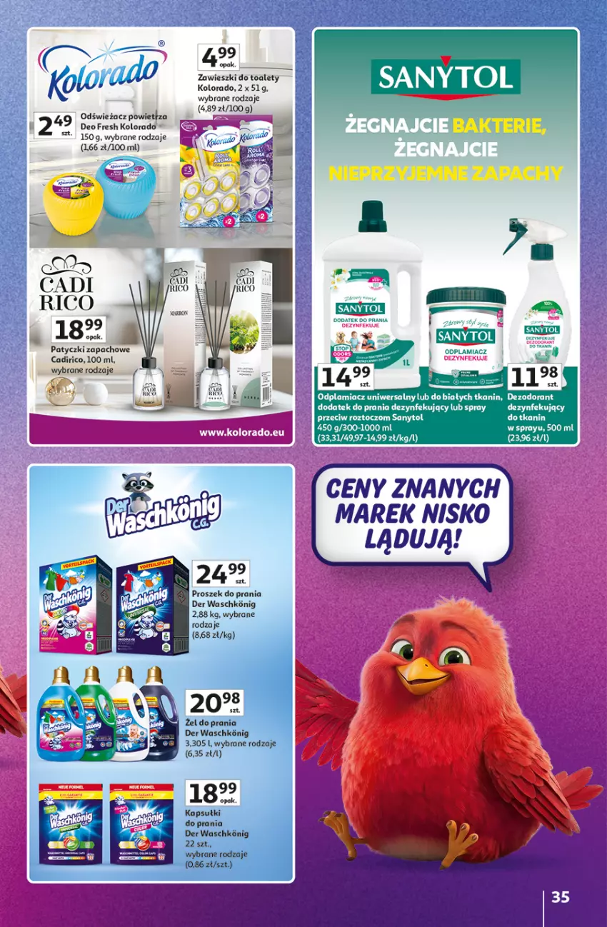 Gazetka promocyjna Auchan - Gazetka Znane Marki Hipermarket Auchan - ważna 11.06 do 17.06.2026 - strona 35 - produkty: Dezodorant, Kolorado, Odplamiacz, Proszek do prania, Sanytol