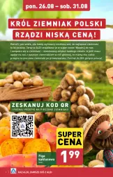 Gazetka promocyjna Aldi - Farmer ALDIK poleca świeże owoce i warzywa - Gazetka - ważna od 31.08 do 31.08.2024 - strona 4 - produkty: Kaktus