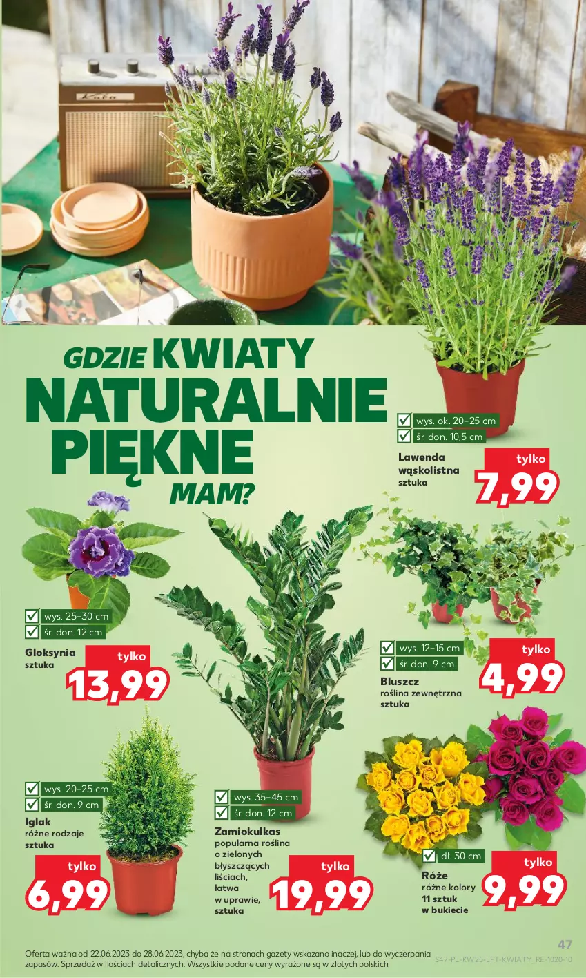 Gazetka promocyjna Kaufland - Gazetka tygodnia - ważna 22.06 do 28.06.2023 - strona 47