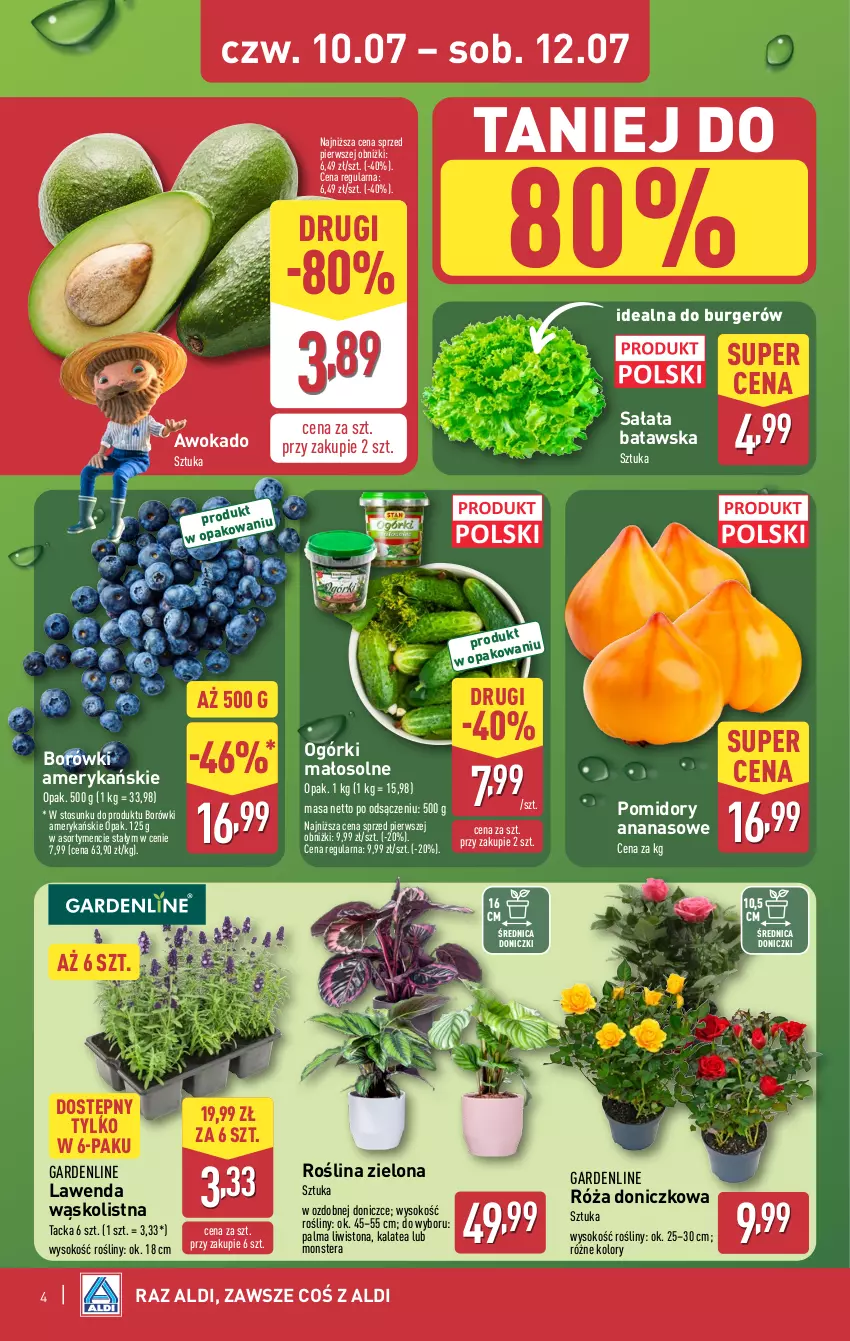 Gazetka promocyjna Aldi - Oferta weekendowa - ważna 10.07 do 12.07.2025 - strona 4 - produkty: Ananas, Burger, Palma, Pomidory, Róża, Sałat, Sok, Tera