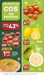 Gazetka promocyjna Aldi - Pełny katalog - Gazetka - ważna od 03.12 do 03.12.2022 - strona 2 - produkty: Mandarynki, Cytryny, Szampion, Pomelo, Gala, Jabłka