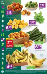 Gazetka promocyjna Stokrotka - Stokrotka Express - Gazetka - ważna od 19.11 do 19.11.2025 - strona 2 - produkty: Gra, Kaki, Pomarańcze, Limonka, Owoce, Natka pietruszki, Mięso