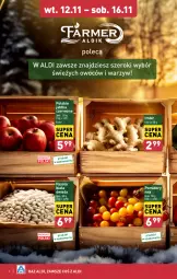 Gazetka promocyjna Aldi - Farmer ALDIK poleca świeże owoce i warzywa - Gazetka - ważna od 16.11 do 16.11.2024 - strona 6 - produkty: Fasola, Pomidory, Jabłka, Imbir, Fa