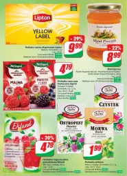 Gazetka promocyjna Dino - Gazetka 6 - Gazetka - ważna od 13.02 do 13.02.2024 - strona 10 - produkty: Sok, Gra, Ostropes, Herbata czarna, Lipton, Miód, Herbata, Ogród, Herbapol