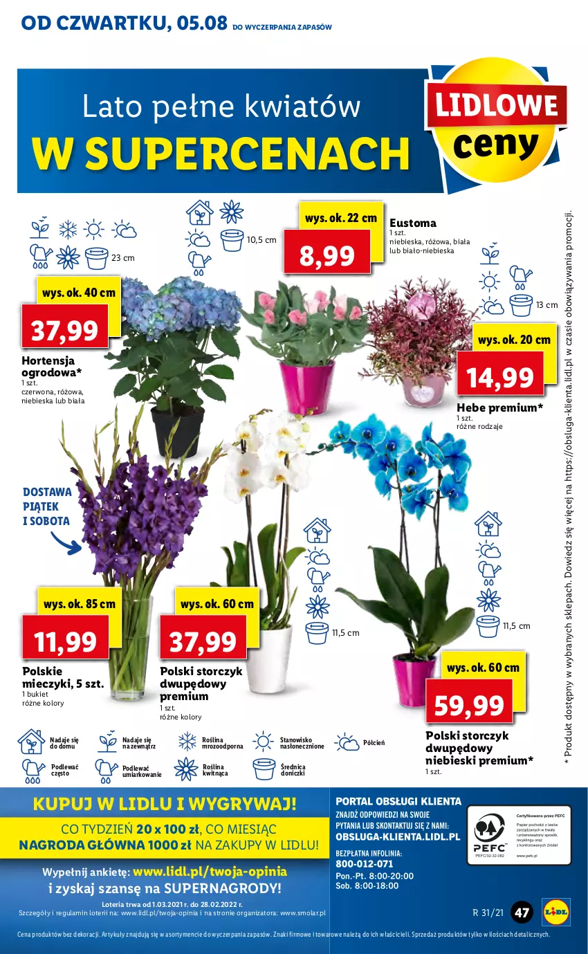 Gazetka promocyjna Lidl - GAZETKA - ważna 05.08 do 07.08.2021 - strona 47 - produkty: Bukiet, Cień, Gry, Miecz, Mola, O nas, Por, Storczyk