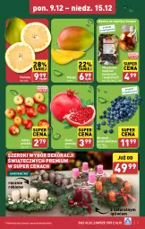 Gazetka promocyjna Aldi - Pełna oferta - Gazetka - ważna od 15.12 do 15.12.2024 - strona 3 - produkty: Gra, Granat, Pomelo, Mango, Jabłka