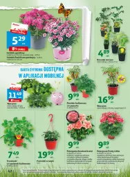 Gazetka promocyjna Auchan - Gazetka Wielkie majowe odkrycia cenowe część #3 Hipermarket Auchan - Gazetka - ważna od 17.05 do 17.05.2023 - strona 42 - produkty: Warzywa, Papryka, Astrid, Mobil