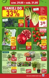 Gazetka promocyjna Aldi - Pełna oferta - Gazetka - ważna od 31.05 do 31.05.2025 - strona 29 - produkty: Piwo, Por, Gra, Gerber, Hibiskus, Granat, Truskawki, Jeżyny, Kawa, Sałat