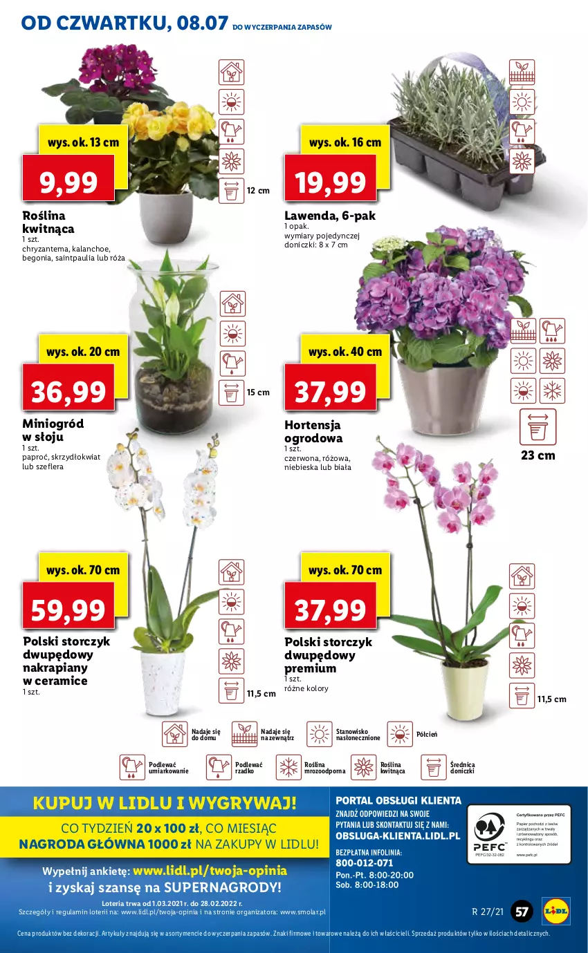 Gazetka promocyjna Lidl - GAZETKA - ważna 08.07 do 10.07.2021 - strona 57 - produkty: Chryzantema, Cień, Gry, Kalanchoe, Mola, O nas, Ogród, Por, Róża, Storczyk