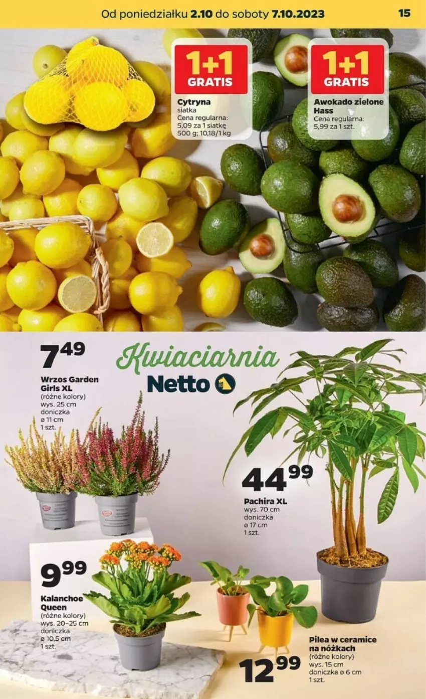 Gazetka promocyjna Netto - ważna 02.10 do 07.10.2023 - strona 7 - produkty: Kalanchoe, Siatka