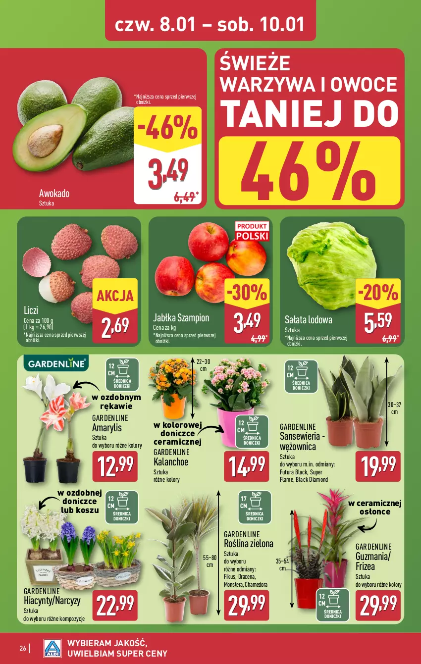 Gazetka promocyjna Aldi - Pełna oferta - ważna 05.01 do 10.01.2026 - strona 26 - produkty: Amarylis, Hiacynt, Jabłka, Kalanchoe, Kosz, Lack, Liczi, Narcyz, Owoce, Sałat, Sałata lodowa, Szampion, Tera, Warzywa, Warzywa i owoce