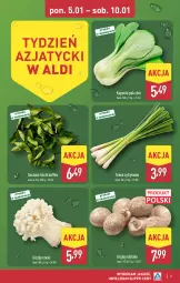 Gazetka promocyjna Aldi - Pełna oferta - Gazetka - ważna od 10.01 do 10.01.2026 - strona 5 - produkty: Grzyby