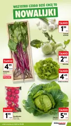 Gazetka promocyjna Intermarche - Gazetka Intermarche - Gazetka - ważna od 15.04 do 15.04.2026 - strona 9 - produkty: Sałata masłowa, Inka, Czosnek, Sałat, Masło, Rzodkiewka