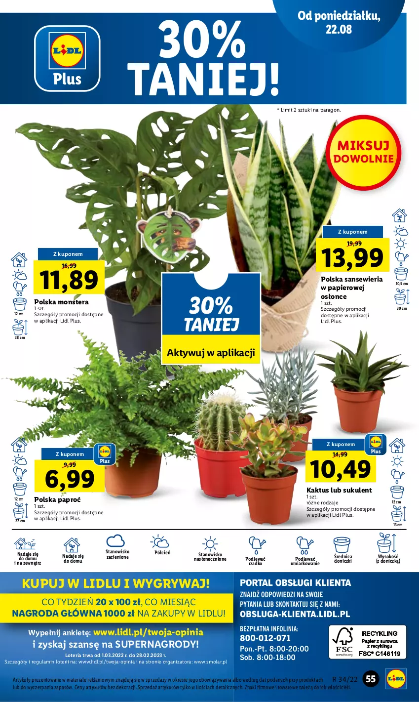 Gazetka promocyjna Lidl - GAZETKA - ważna 22.08 do 24.08.2022 - strona 57 - produkty: Cień, Gry, Kaktus, Mola, O nas, Papier, Sok, Sukulent, Tera