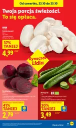 Gazetka promocyjna Lidl - GAZETKA - Gazetka - ważna od 25.10 do 25.10.2025 - strona 29 - produkty: Piec, Por, Ogórek, Buraki