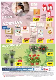 Gazetka promocyjna Carrefour - Gazetka Market - Gazetka - ważna od 06.05 do 06.05.2023 - strona 18 - produkty: Torebka, Bell, Praliny, Raffaello, Canpol, Ferrero, Merci, Lindt, Fa