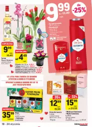 Gazetka promocyjna Intermarche - Gazetka - ważna od 24.01 do 24.01.2022 - strona 3 - produkty: Woda perfumowana, Piwo, Krem do twarzy, Tulipan, Old Spice, Dezodorant, Perfum, Primula, Storczyk, Woda toaletowa, Syrop, Bukiet, La Rive, Szklanka, Lirene, Woda