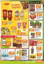 Gazetka promocyjna Gama - Gazetka Gama - Gazetka - ważna od 05.05 do 05.05.2026 - strona 9 - produkty: Ketchup, Prymat, Sos, Mus, Bulion, Winiary, Lion, Schweppes, Woda, Grill, Kamis, Napój, Brykiet drzewny, Musztarda
