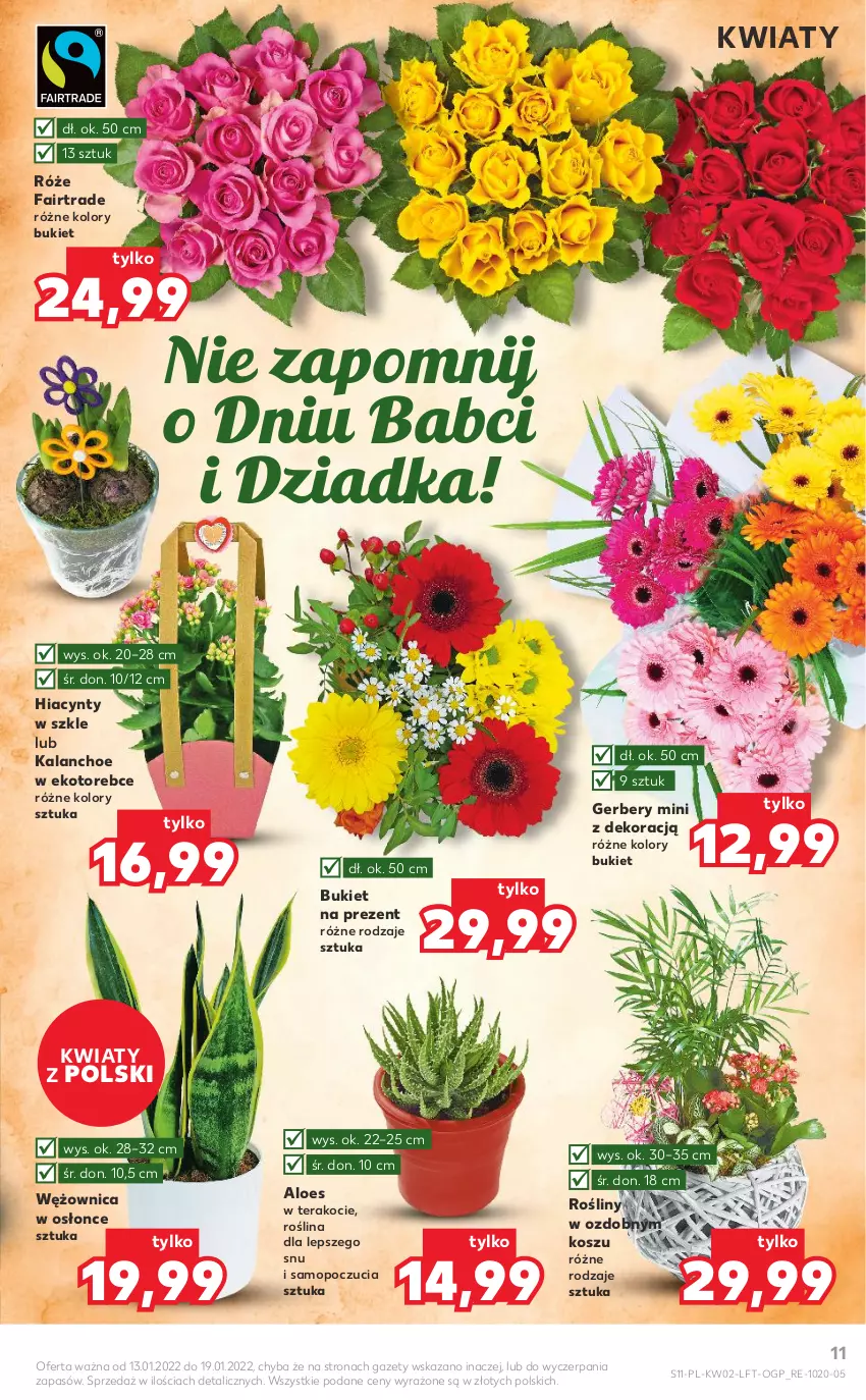 Gazetka promocyjna Kaufland - OFERTA TYGODNIA - ważna 13.01 do 19.01.2022 - strona 11 - produkty: Bukiet, Fa, Gerber, Hiacynt, Kalanchoe, Koc, Kosz, Mop, Tera