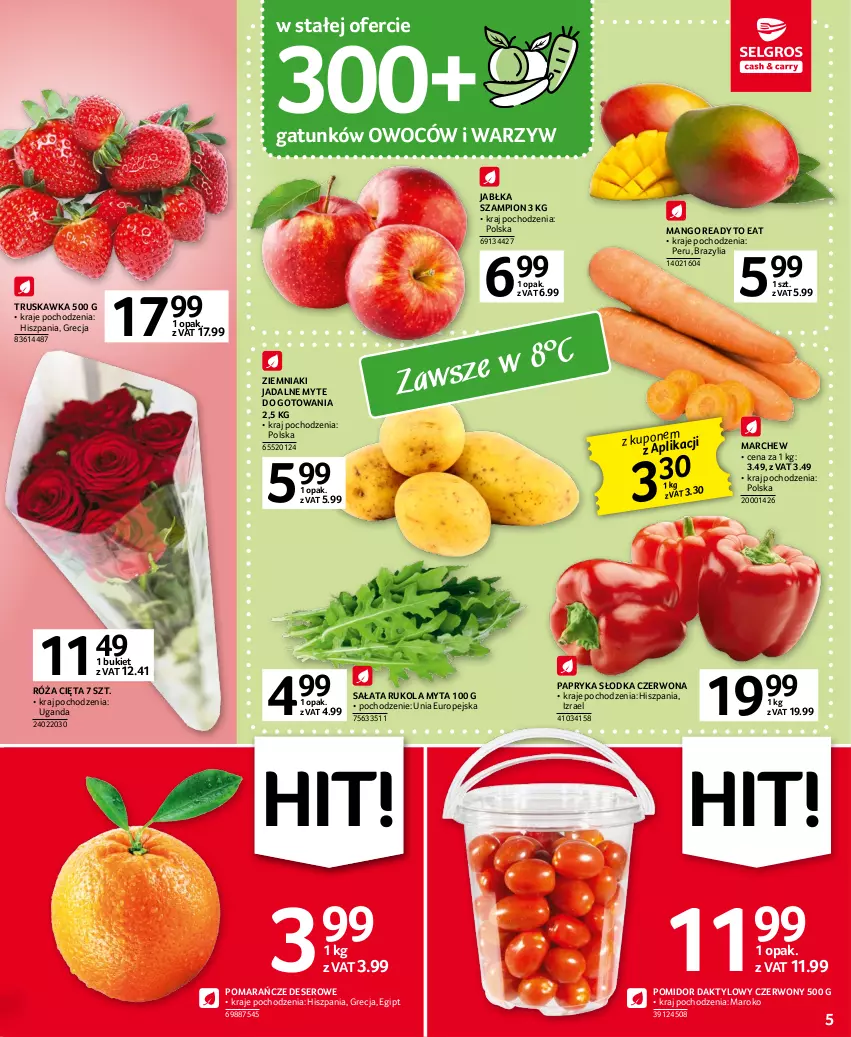 Gazetka promocyjna Selgros - Oferta spożywcza - ważna 02.03 do 15.03.2023 - strona 5 - produkty: Bukiet, Deser, Jabłka, Mango, Papryka, Papryka słodka, Pomarańcze, Róża, Rukola, Sałat, Ser, Szampion, Ziemniaki