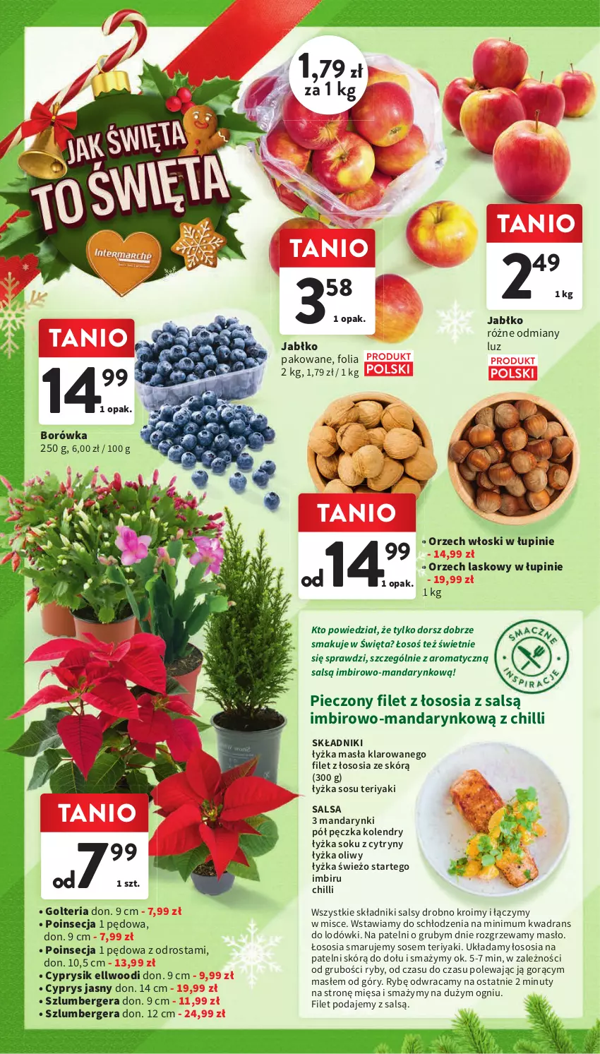 Gazetka promocyjna Intermarche - Gazetka Intermarche - ważna 30.11 do 06.12.2023 - strona 22 - produkty: Borówka, Cyprysik, Cytryny, Dorsz, Imbir, Mandarynki, Masło, Nuty, Piec, Poinsecja, Salsa, Sok, Sos, Szlumbergera