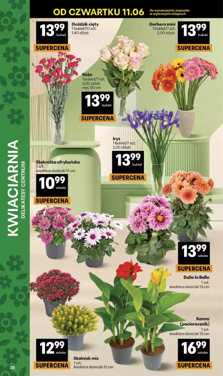 Gazetka promocyjna Delikatesy Centrum - Franczyza DC24 Czwartek - ważna 11.06 do 17.06.2026 - strona 38 - produkty: Bell, Bella, Bukiet, Róża