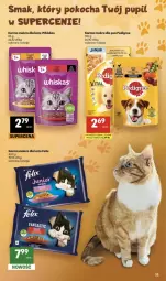 Gazetka promocyjna Delikatesy Centrum - Franczyza DC24 Czwartek - Gazetka - ważna od 17.06 do 17.06.2026 - strona 35 - produkty: Kurczak, Ryż, Koc, Whiskas, Felix, Pedigree