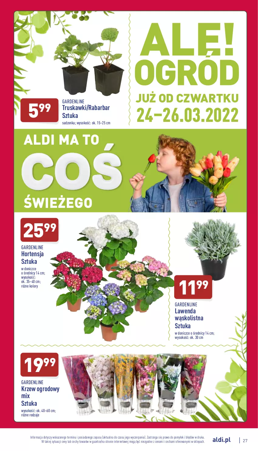 Gazetka promocyjna Aldi - Pełny katalog - ważna 21.03 do 26.03.2022 - strona 27 - produkty: Sok, Truskawki