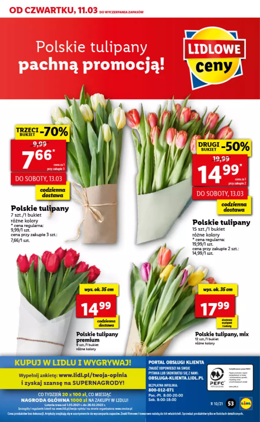 Gazetka promocyjna Lidl - GAZETKA - ważna 11.03 do 13.03.2021 - strona 53 - produkty: Bukiet, Gala, Gry, Por, Tran, Tulipan